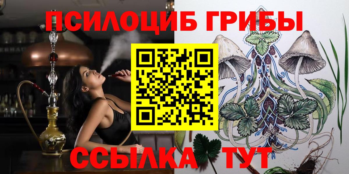 Псилоцибиновые грибы Psilocybine cubensis Великий Новгород