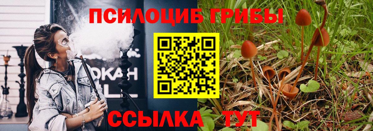 Псилоцибиновые грибы Psilocybe  Вход с VPN  Великий Новгород  Псилоцибиновые грибы Psilocybine cubensis 